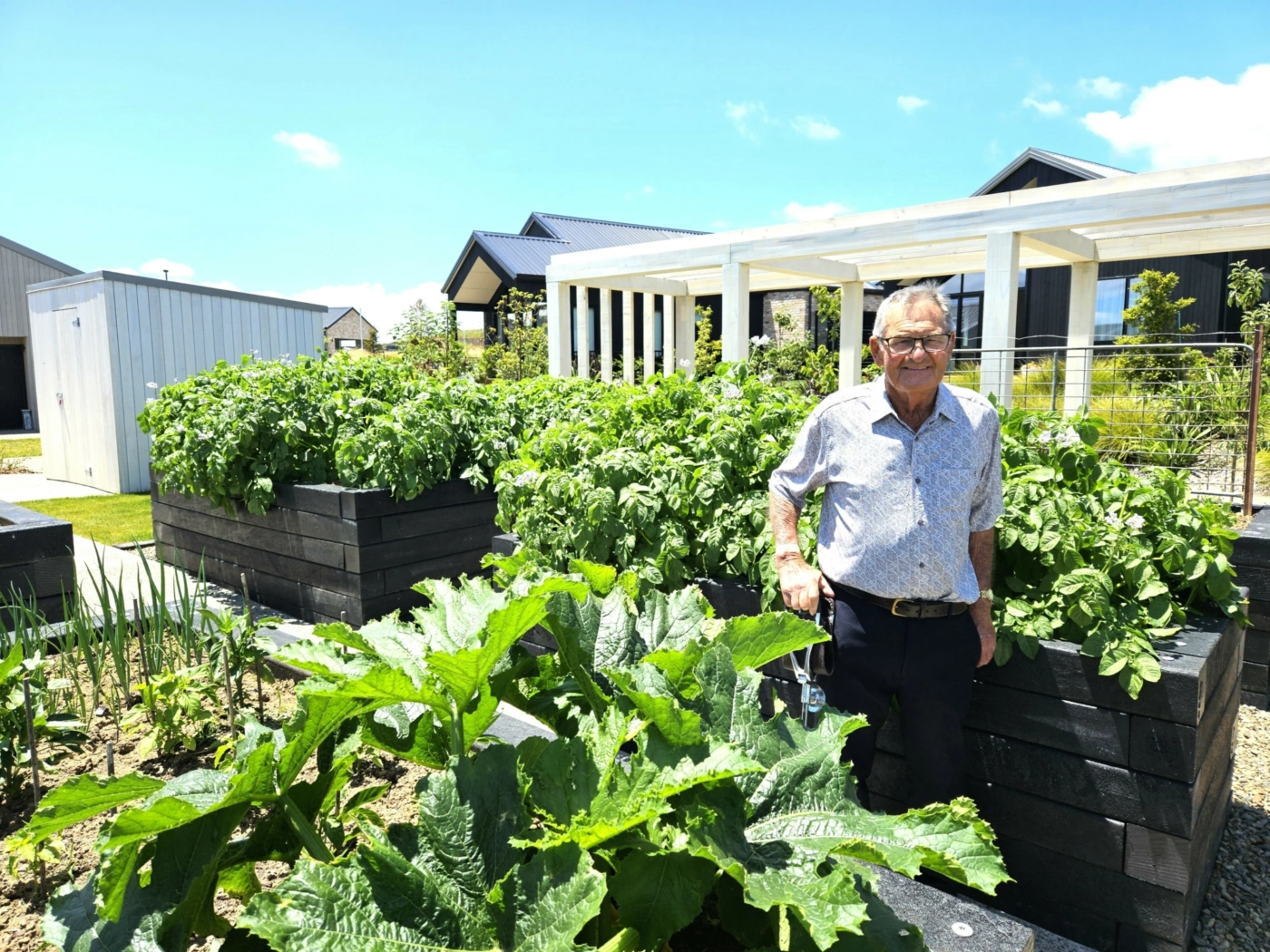 From milking cows to making friends
