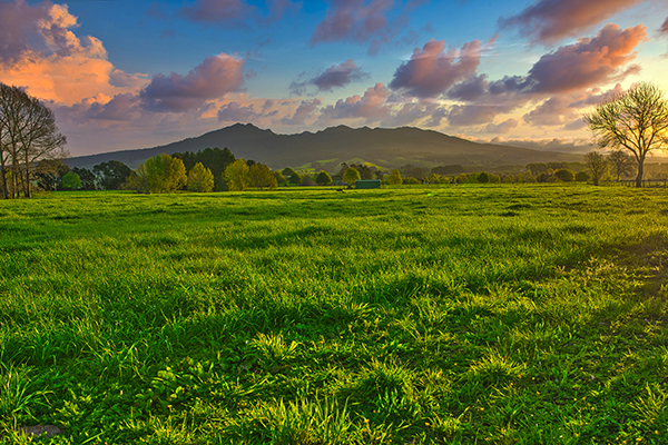 New Arvida community planned for Te Awamutu