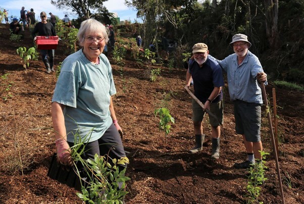 Restoring natural habitats alongside Arvida’s Kerikeri retirement community