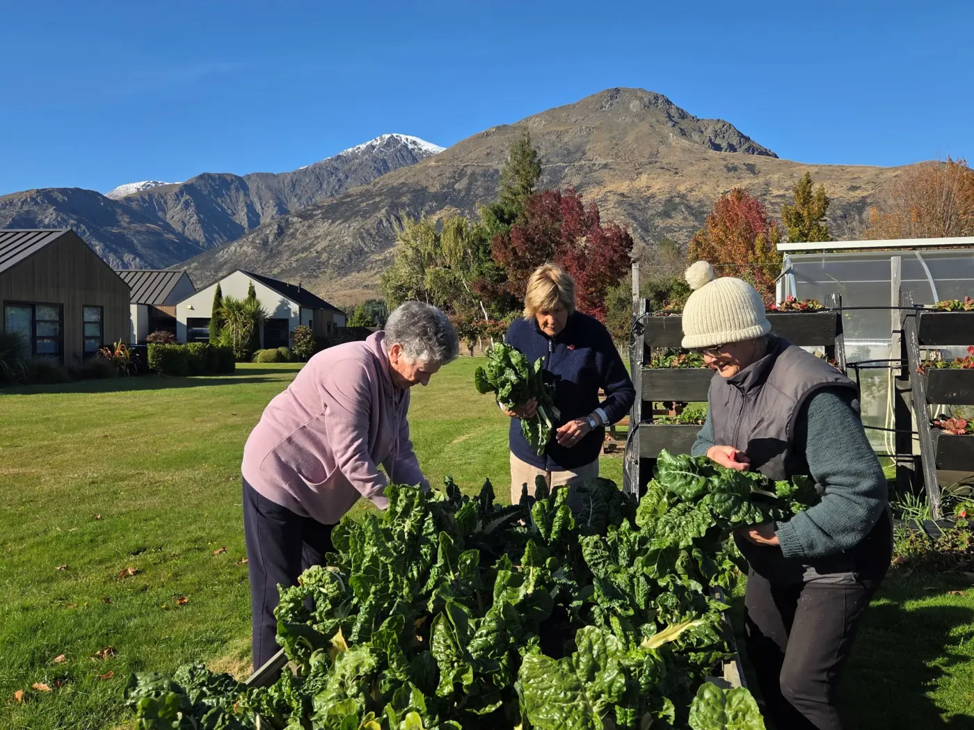 Thriving community garden brings fresh produce
